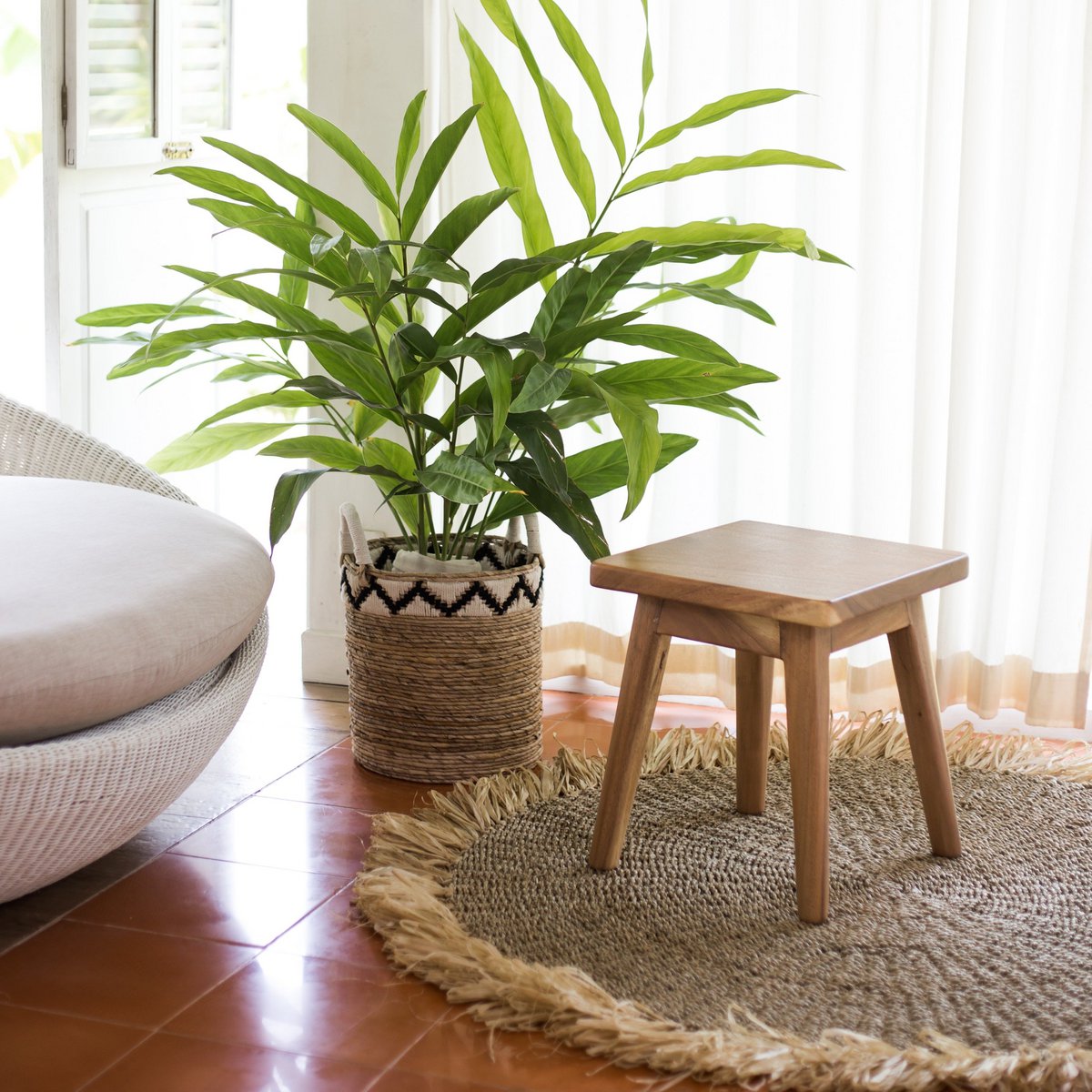 Plantenmand van bananenvezel met een plant erin in een huiskamer