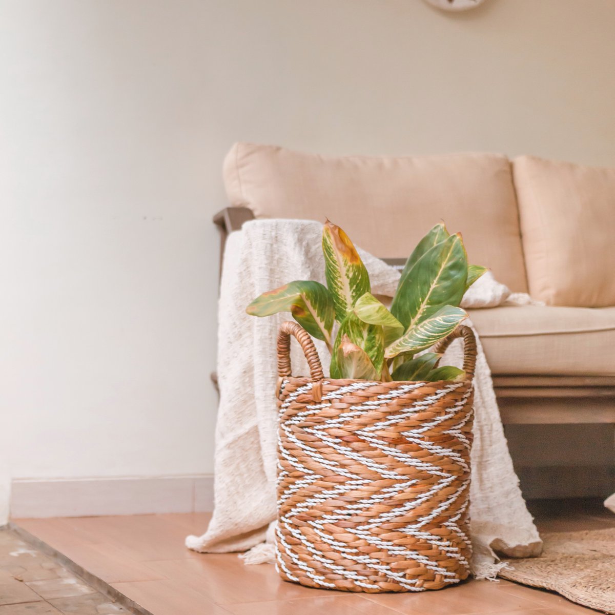 Plantenmand van waterhyacint met een plant erin voor een bank