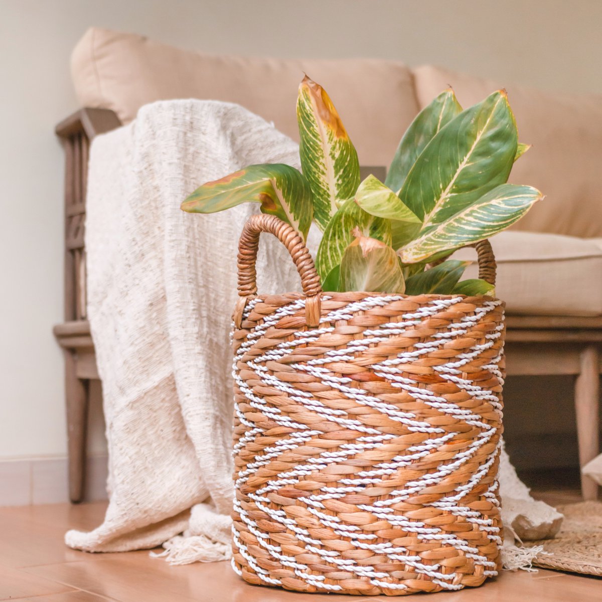 Plantenmand van waterhyacint met een plant erin staand voor een bank