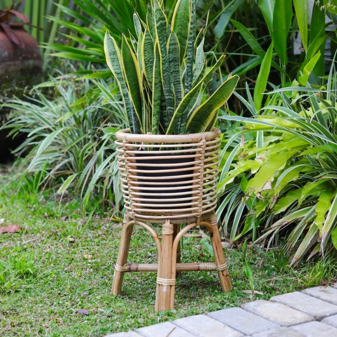 Rotan plantenstandaard met een plant erin buiten staand op het gras