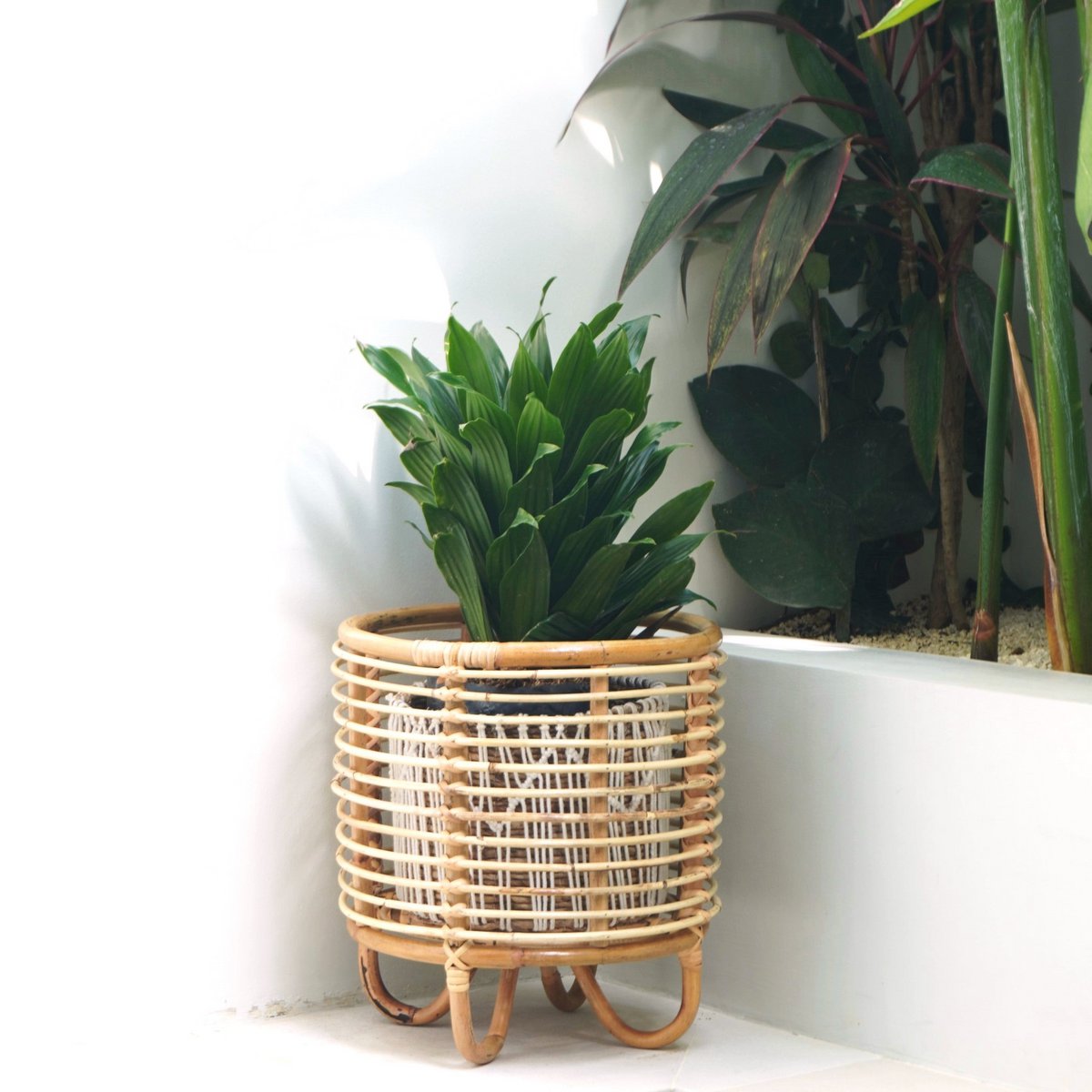 Plantenstandaard van rotan met een plant erin staand voor een witte muur